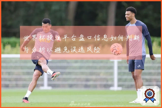 世界杯投注平台盘口信息如何判断与分析以避免误选风险