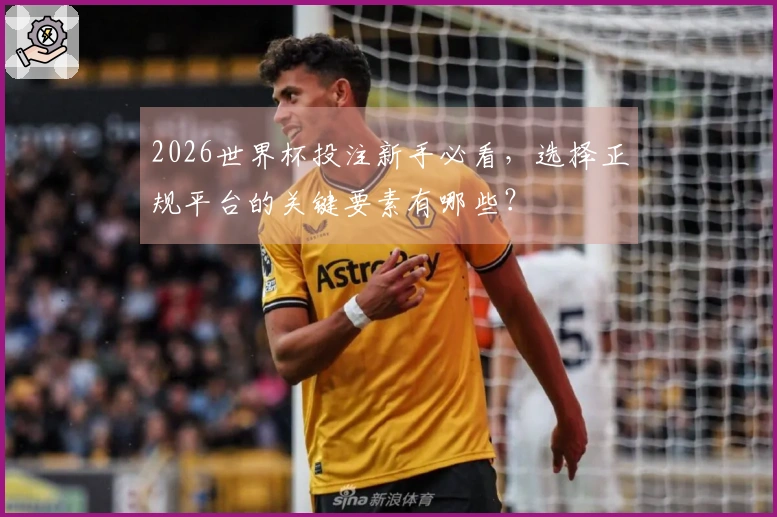 2026世界杯投注新手必看，选择正规平台的关键要素有哪些？
