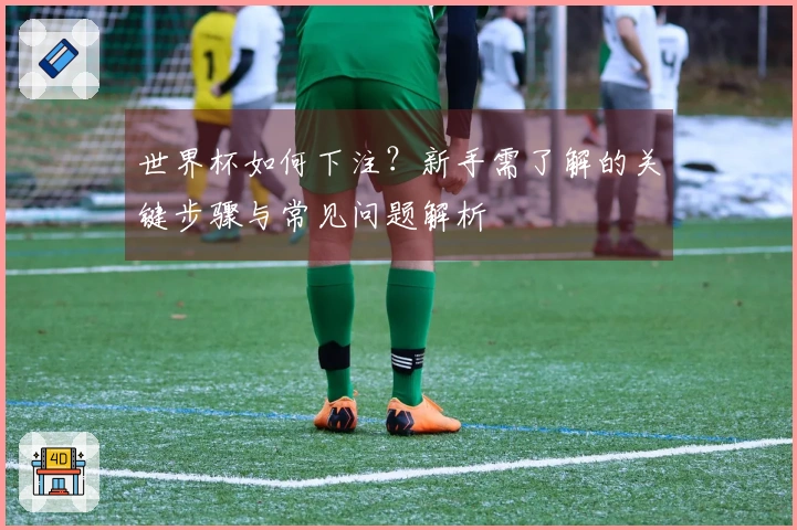世界杯如何下注？新手需了解的关键步骤与常见问题解析