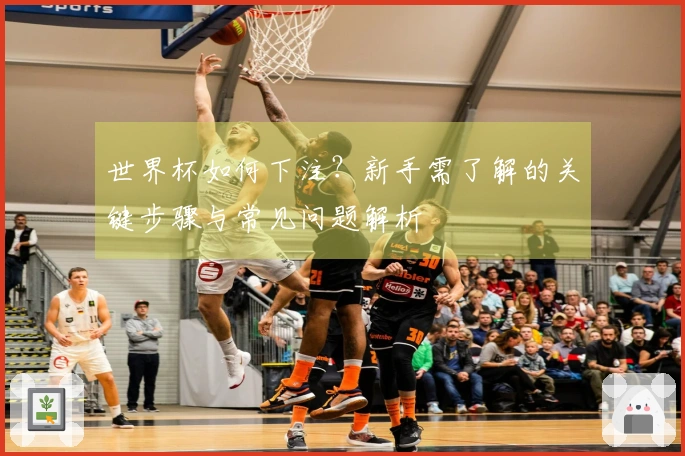 世界杯如何下注？新手需了解的关键步骤与常见问题解析