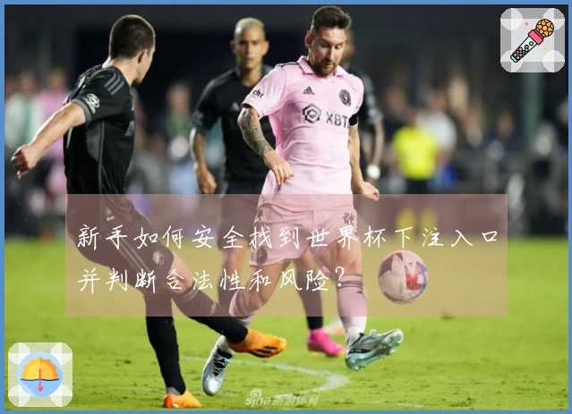 新手如何安全找到世界杯下注入口并判断合法性和风险？