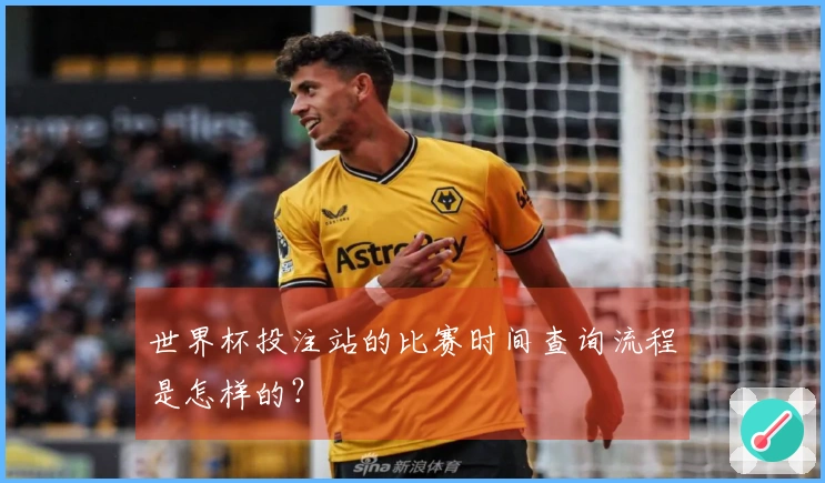 世界杯投注站的比赛时间查询流程是怎样的？