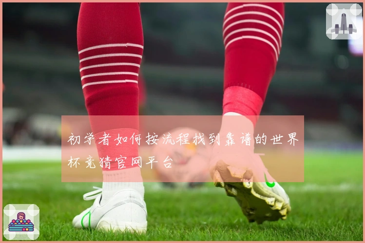 初学者如何按流程找到靠谱的世界杯竞猜官网平台