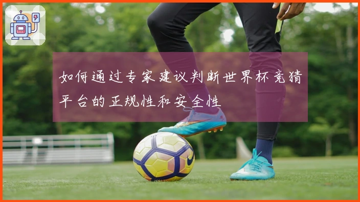 如何通过专家建议判断世界杯竞猜平台的正规性和安全性
