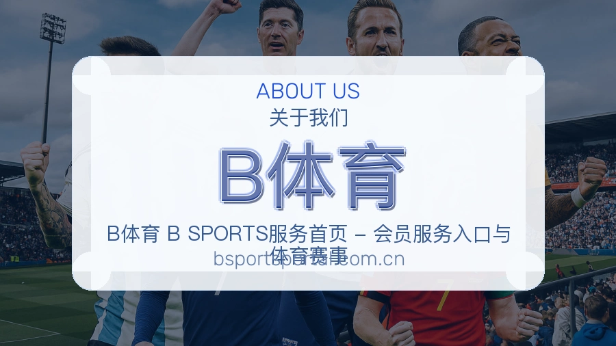 B体育体育数据整理说明